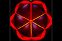 Amococo Flower