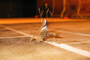 Bug Breakdancing