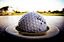 Bucks Day Golf