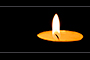 Burn Brightly
