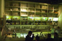 The Croft Institute