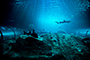 Deep Blue
