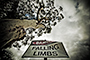Falling Limbs