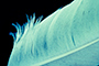 Featherweight