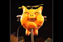 Flying Pig