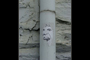 Gutter Scream