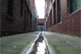 Gutter Alley