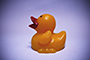 Half-a-Duck