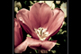 I love you Lightroom 2.0