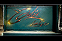 jules was here [2]
