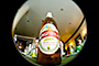 Kingfisheye