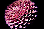 Micro-macro