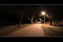My Run