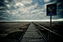 No Diving