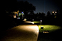 The Path Home