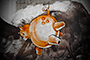 Pig Paste-Up