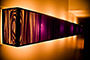 The Purple Light