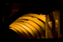 Rib Cage