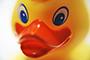 Rubber Duckie