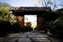 Secret Garden