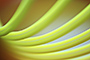 Slinky Sessions 2