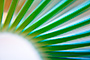 Slinky Sessions 4