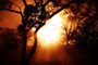 Solarflare