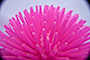 Spikeyball