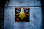 Stare Bird