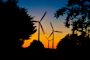 Windfarm