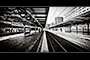 Central Lines