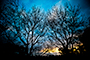 Sunset 15