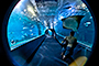 Tunnel of Fear
