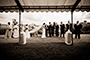 The Wedding Party