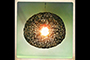 Bird's Nest Light