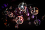 Disco Ain't Dead