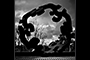 Fractal B&W