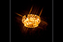 Gin Lamp