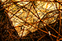 Great Balls of Wire (Close-Up 2)