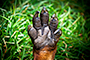 High Five