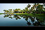 Kumarakom Lakefront