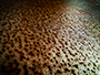 Macrusted