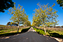 The Driveway
