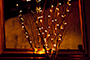 Wedding Lights